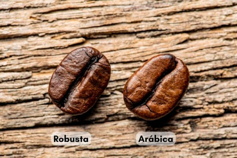 batalla-cafes-cafe-arabica-o-robusta