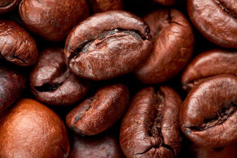 batalla-cafes-cafe-robusta