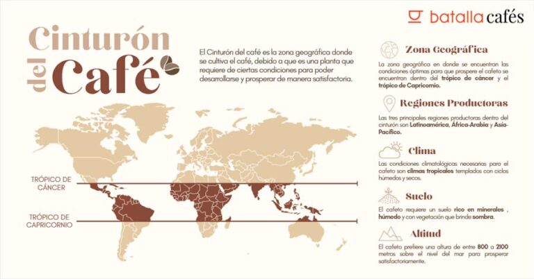 batalla-cafes-de-donde-procede-el-cafe