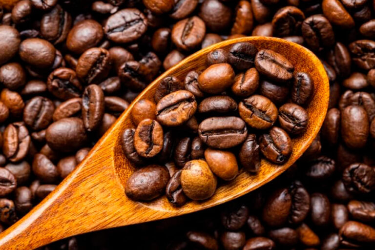 batalla-cafes-grano-arabica-y-robusta