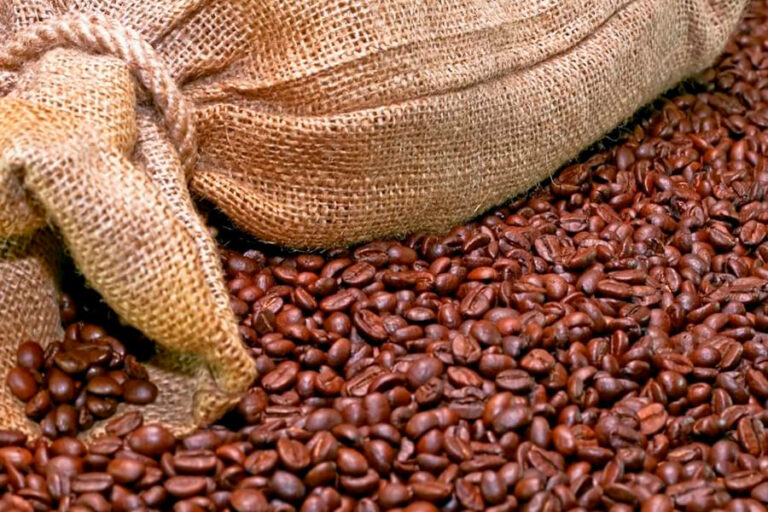 batalla-cafes-primeras-importaciones-del-cafe