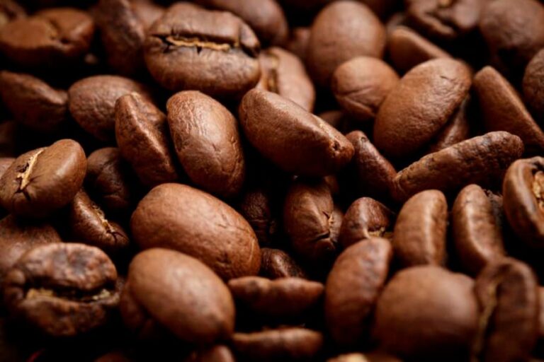 batalle-cafes-cafe-arabica